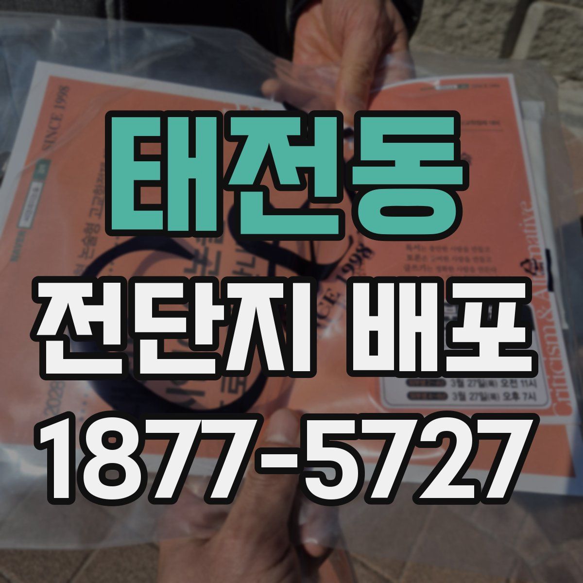 태전동 전단지 배포