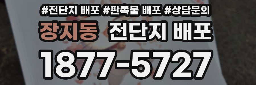 장지동 전단지 배포