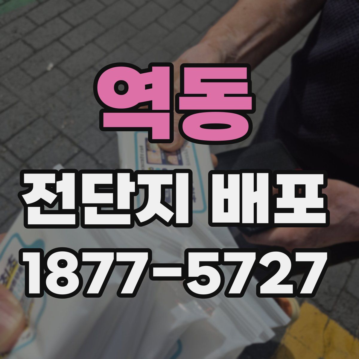 역동 전단지 배포