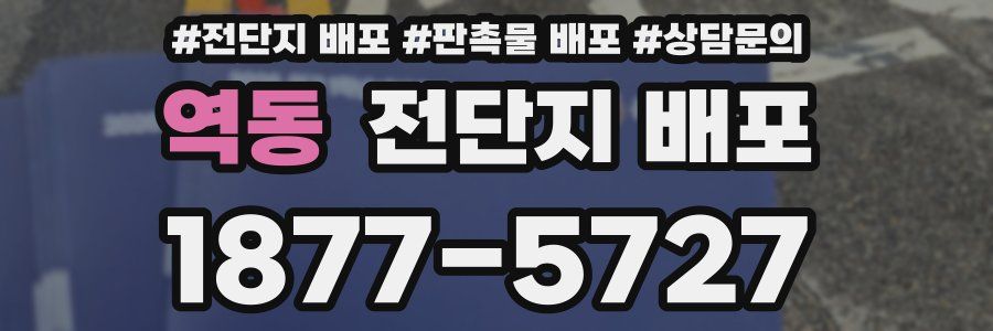 역동 전단지 배포