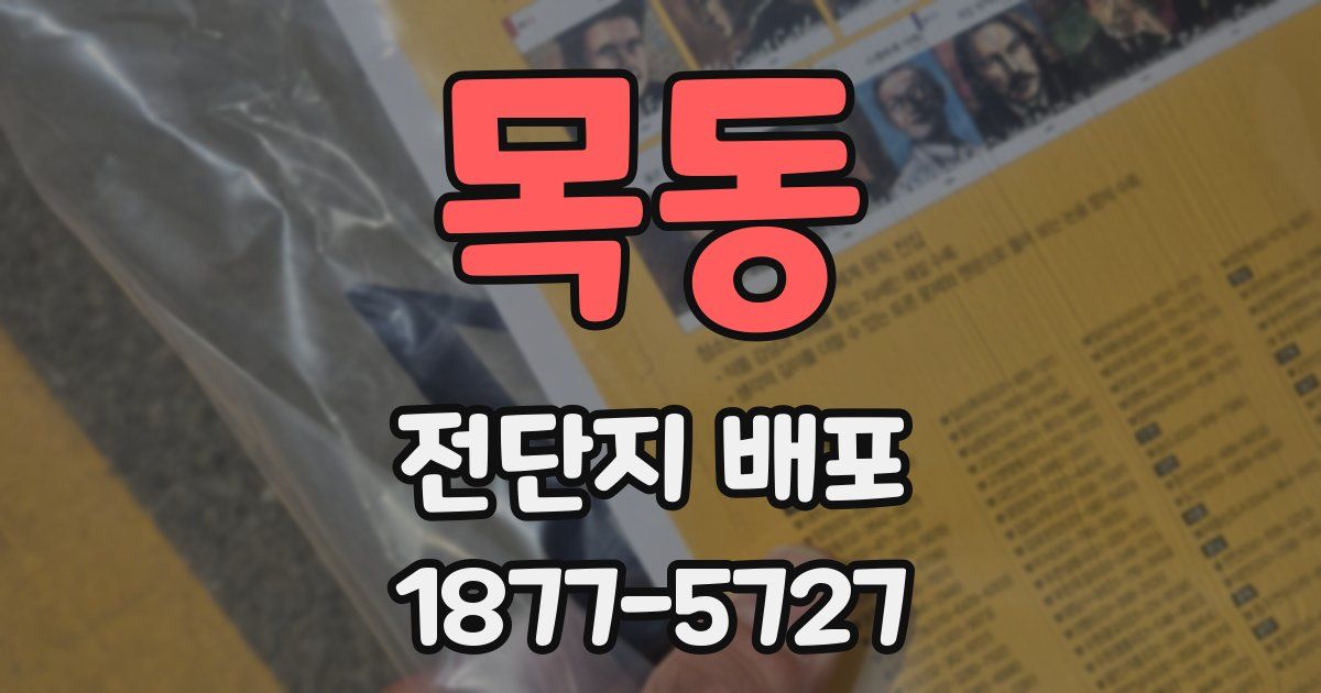 목동 전단지 배포