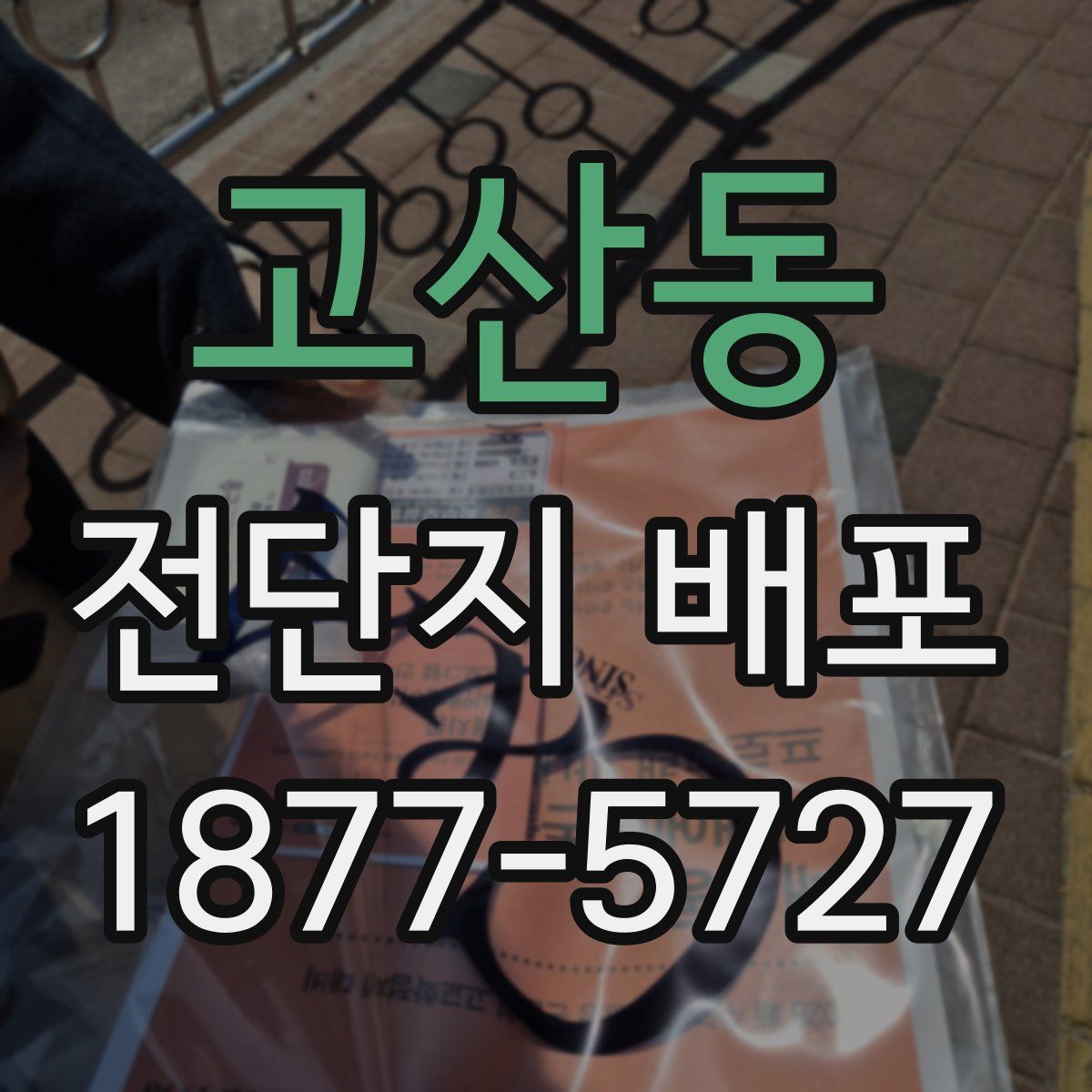고산동 전단지 배포