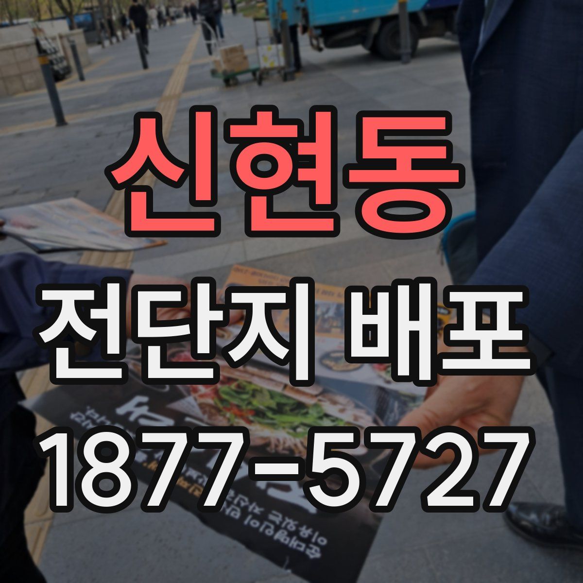 신현동 전단지 배포