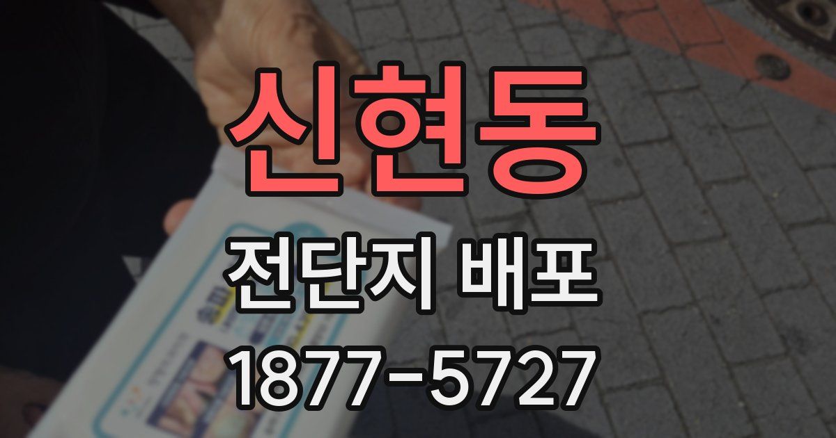 신현동 전단지 배포