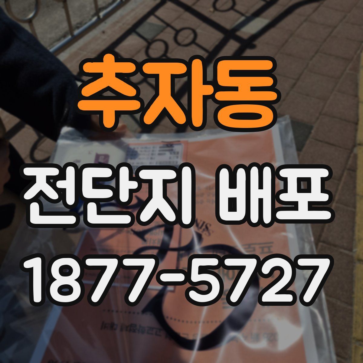 추자동 전단지 배포