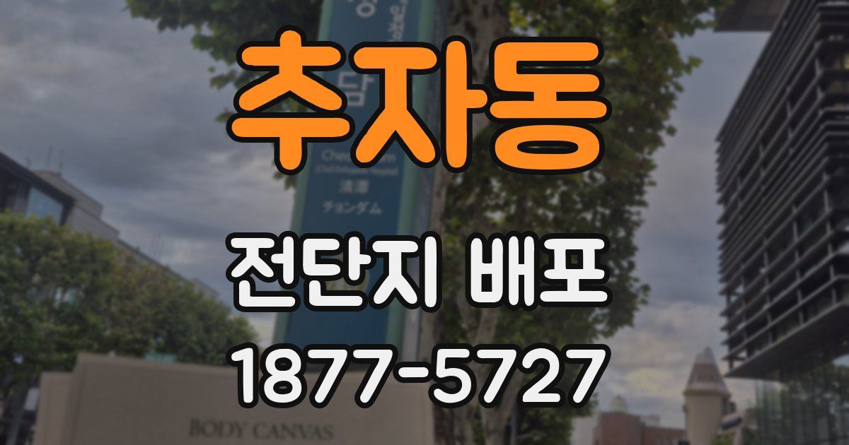 추자동 전단지 배포