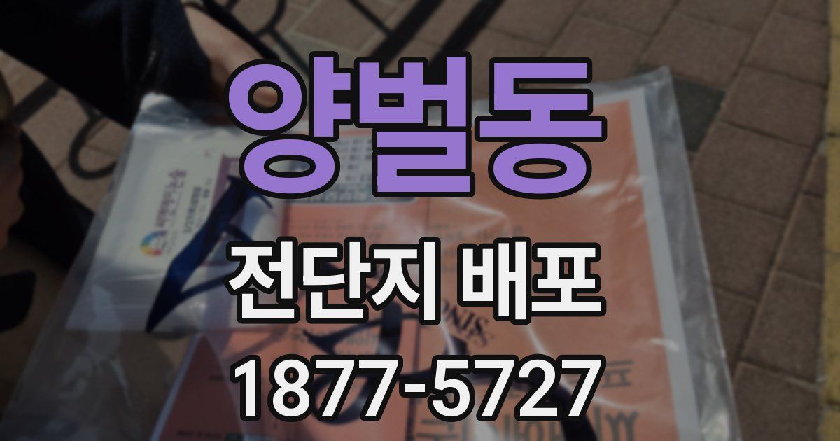 양벌동 전단지 배포