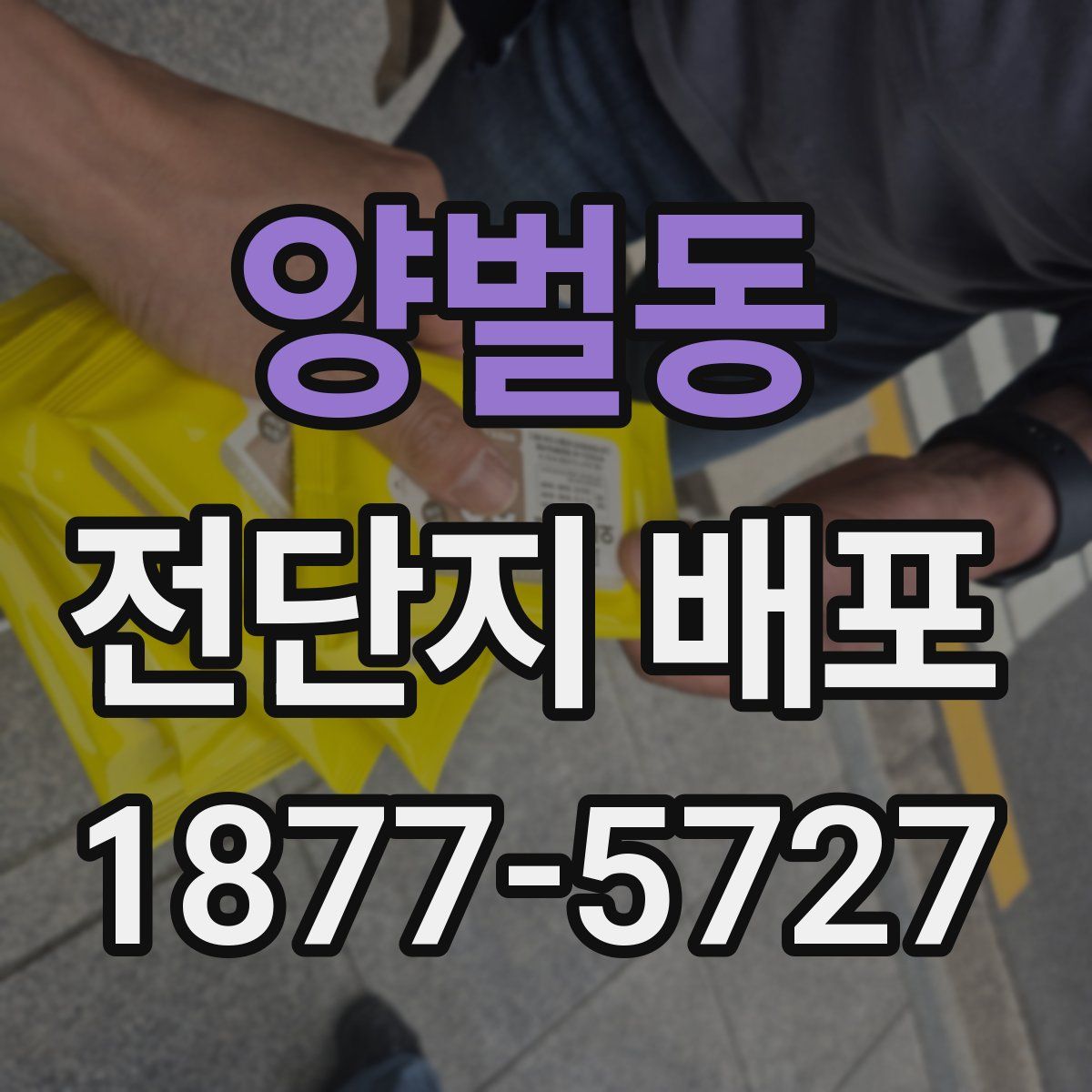양벌동 전단지 배포