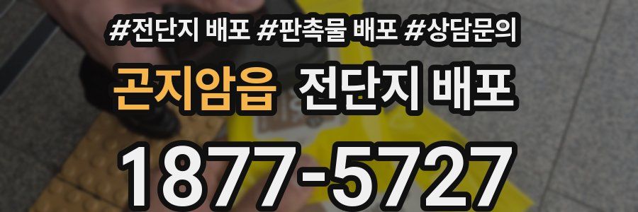 곤지암읍 전단지 배포