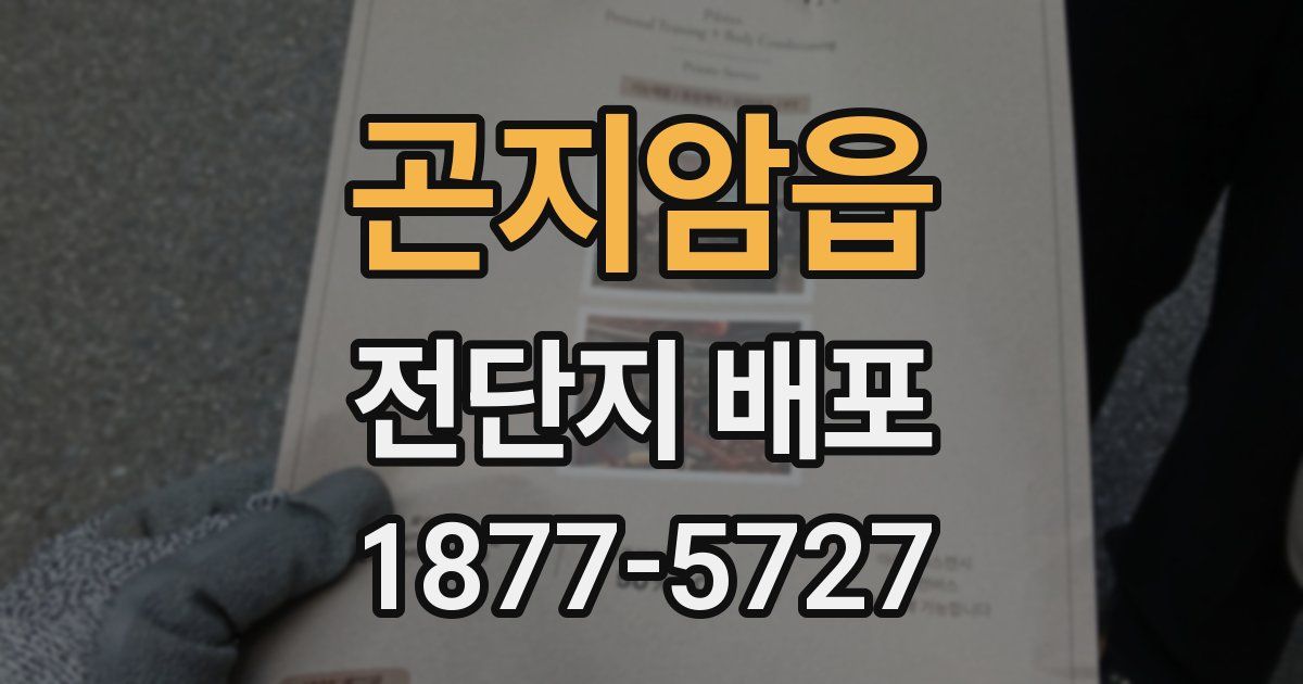 곤지암읍 전단지 배포