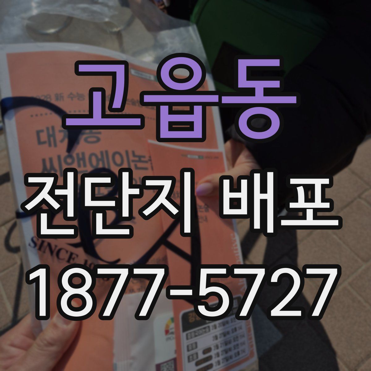 고읍동 전단지 배포