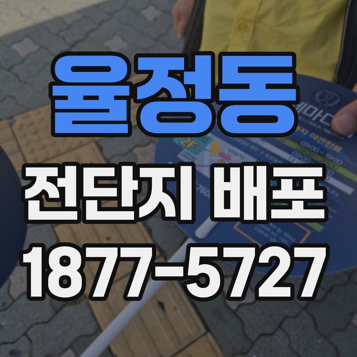율정동 전단지 배포
