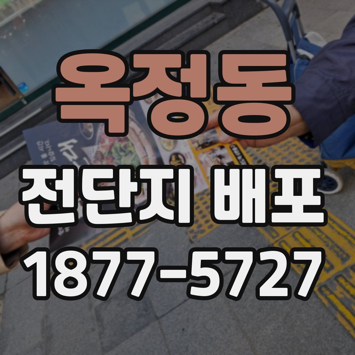 옥정동 전단지 배포
