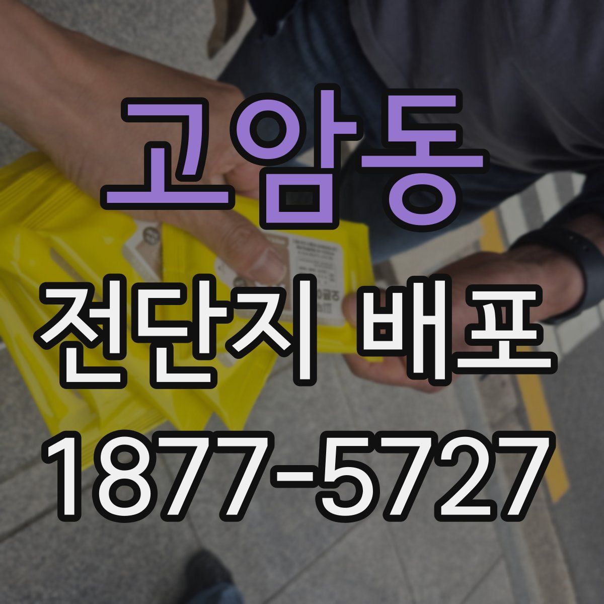 고암동 전단지 배포