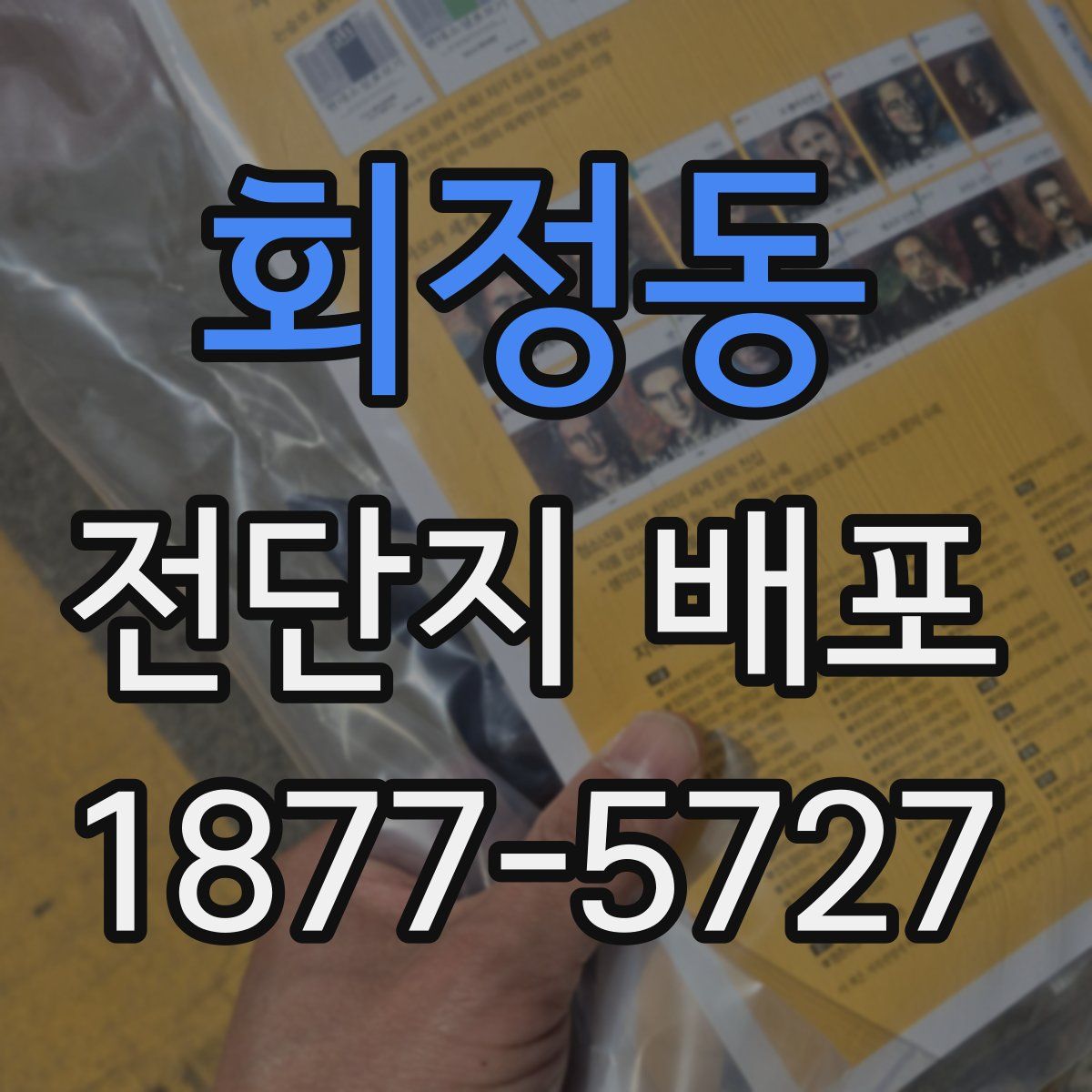 회정동 전단지 배포