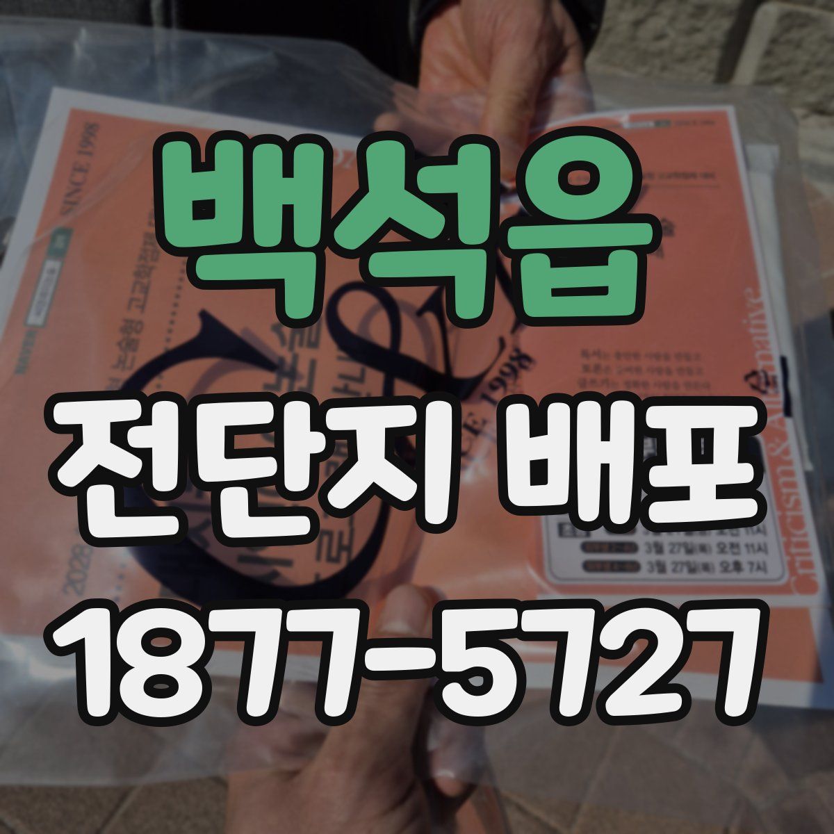 백석읍 전단지 배포