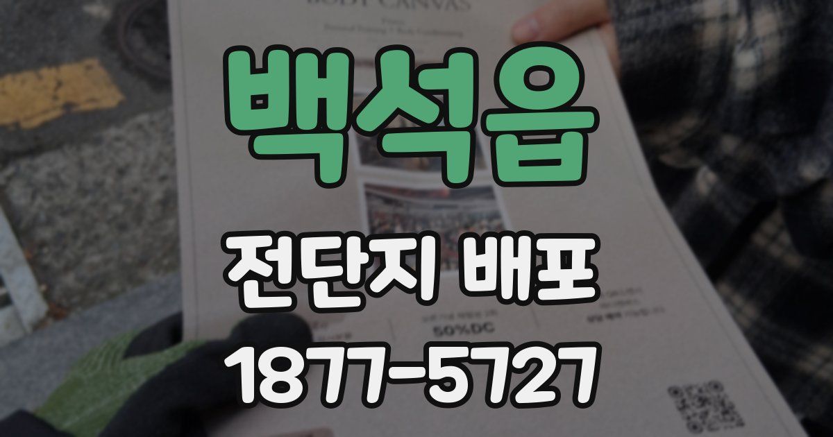 백석읍 전단지 배포