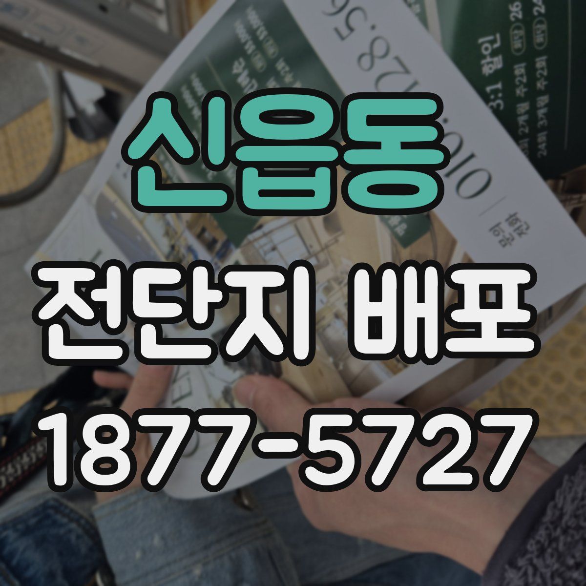 신읍동 전단지 배포
