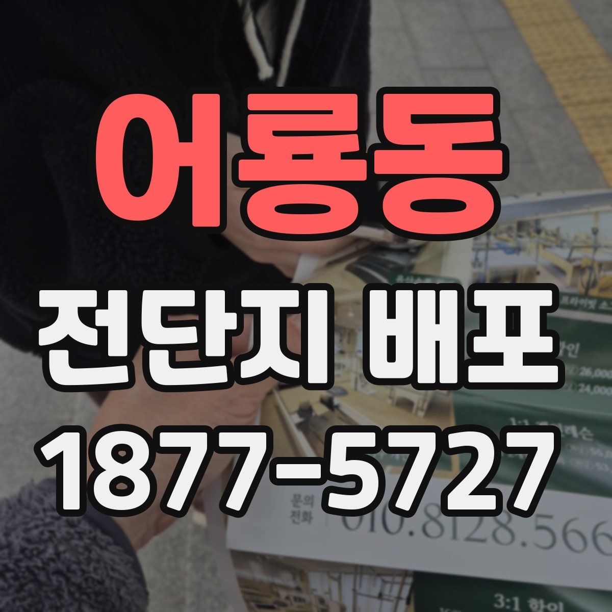 어룡동 전단지 배포