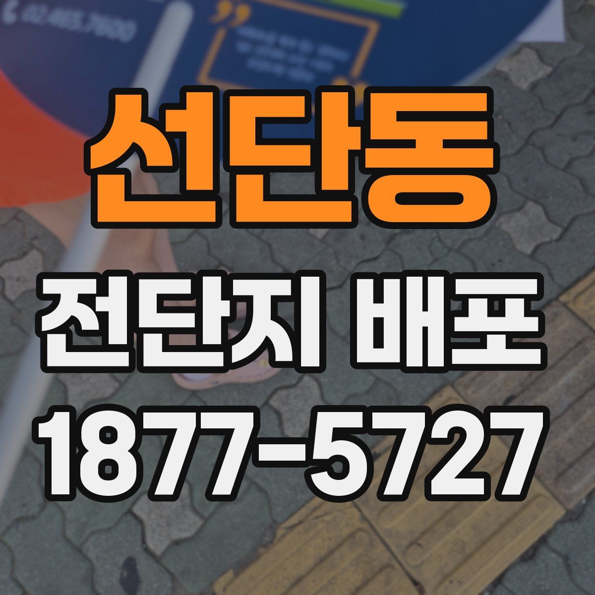 선단동 전단지 배포