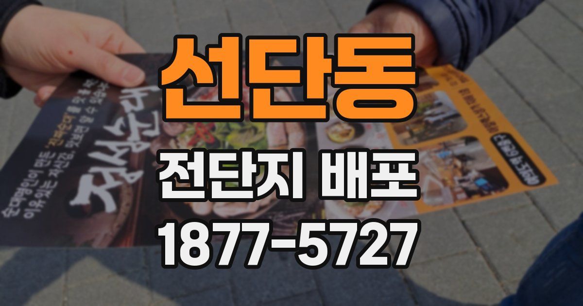 선단동 전단지 배포