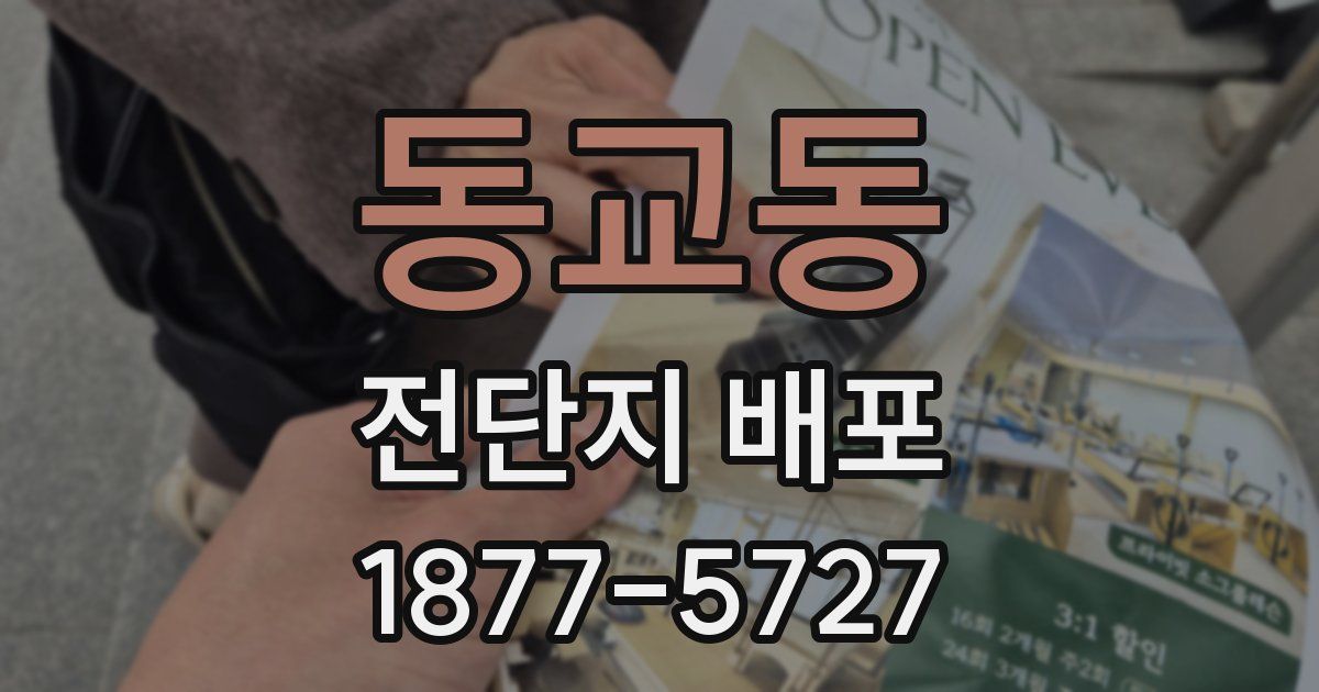 동교동 전단지 배포