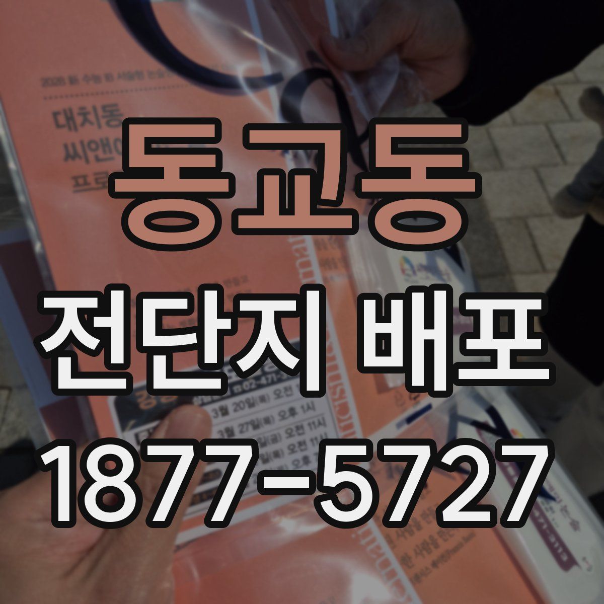 동교동 전단지 배포