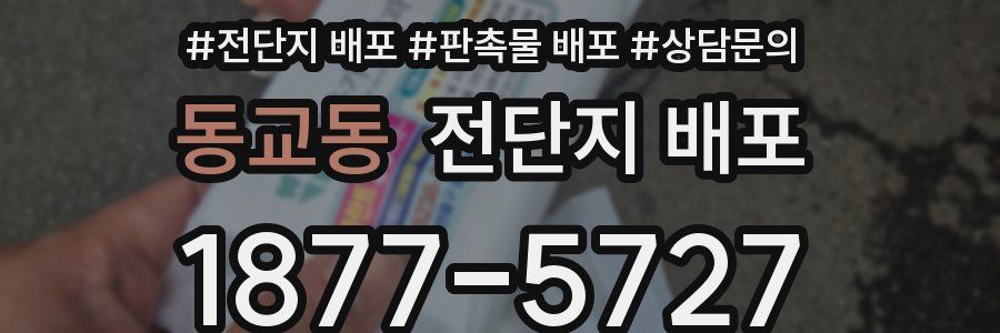동교동 전단지 배포