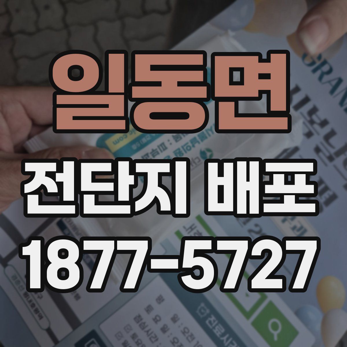 일동면 전단지 배포
