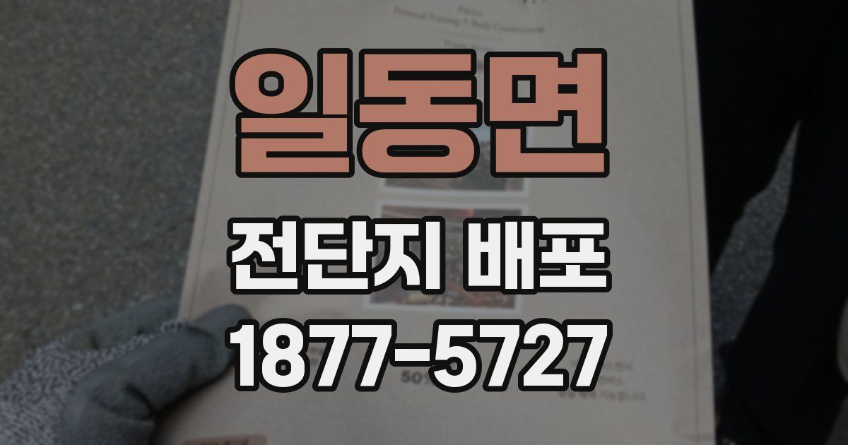 일동면 전단지 배포