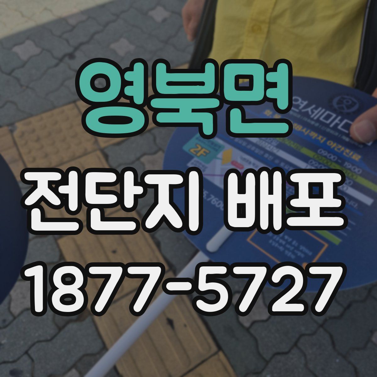 영북면 전단지 배포
