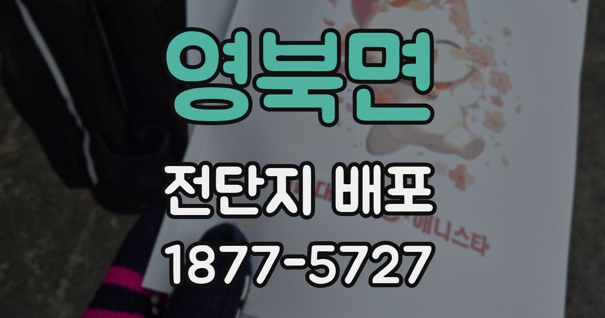 영북면 전단지 배포