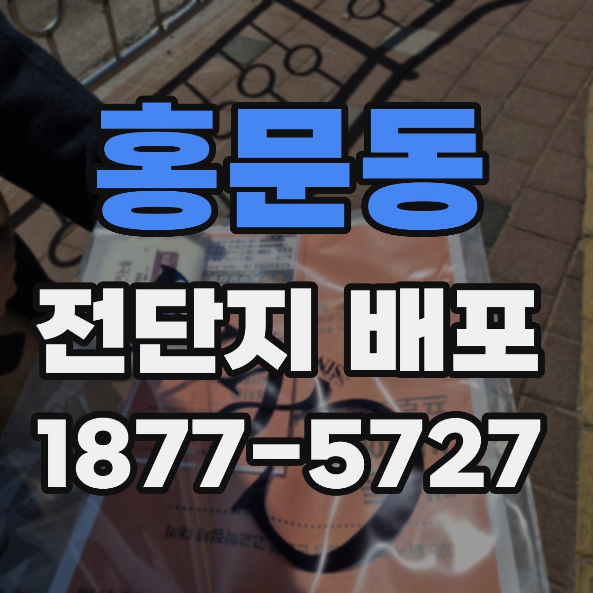 홍문동 전단지 배포