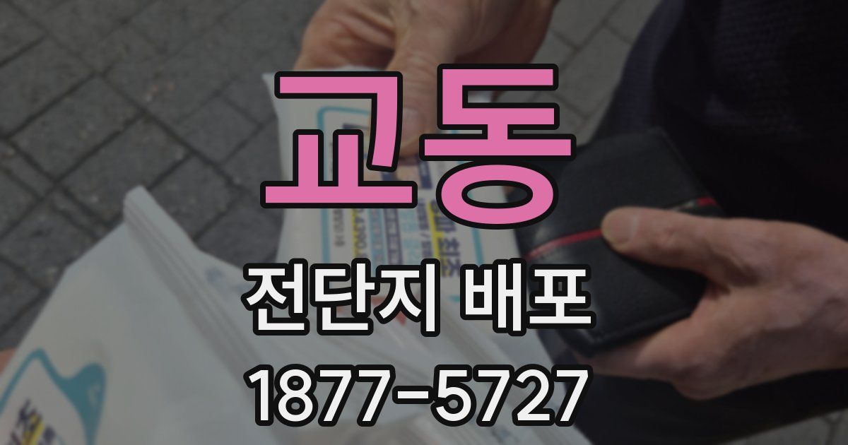 교동 전단지 배포