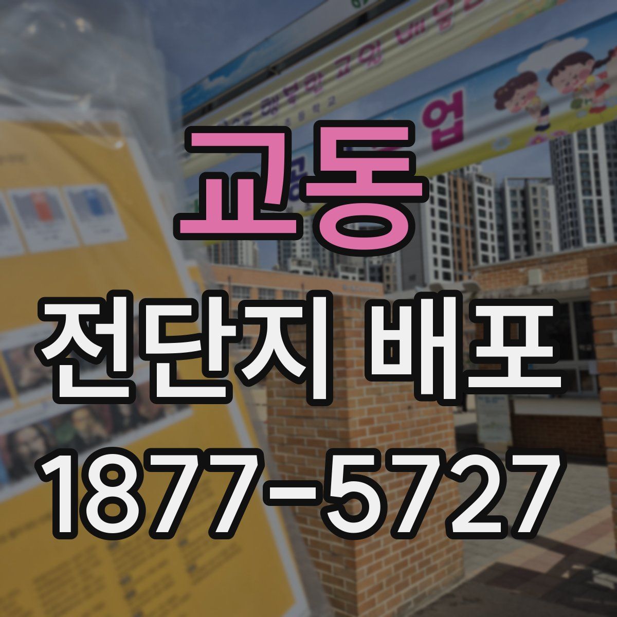 교동 전단지 배포