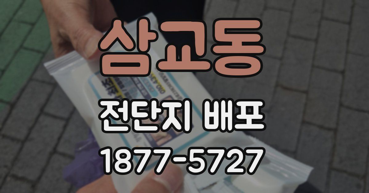 삼교동 전단지 배포