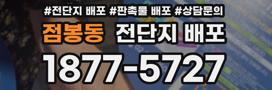 점봉동 전단지 배포