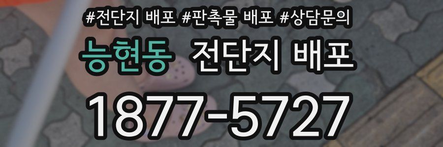 능현동 전단지 배포