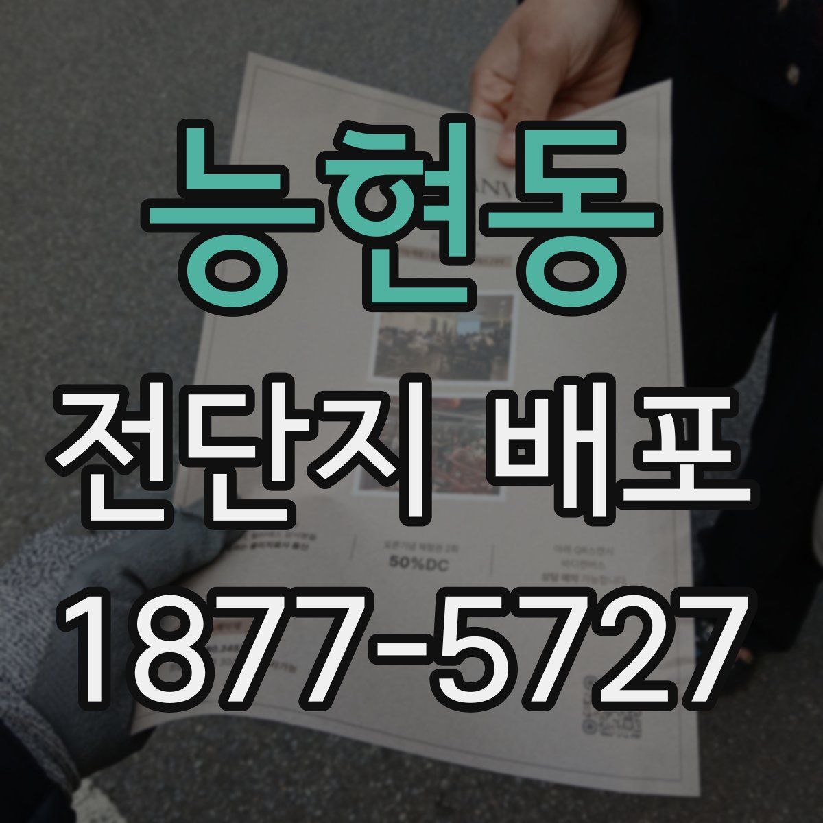 능현동 전단지 배포