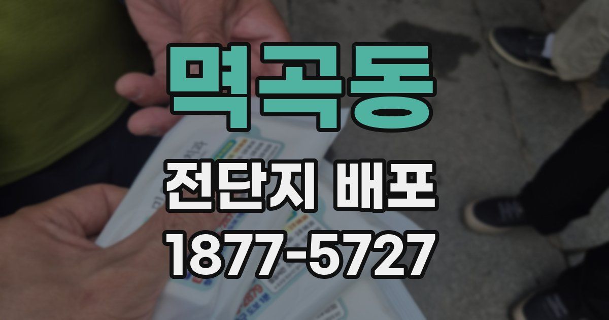 멱곡동 전단지 배포
