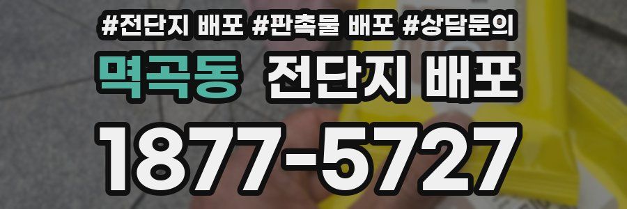 멱곡동 전단지 배포