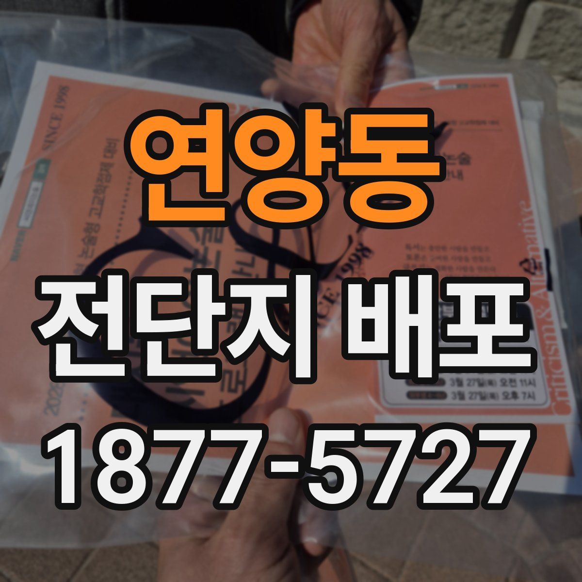 연양동 전단지 배포