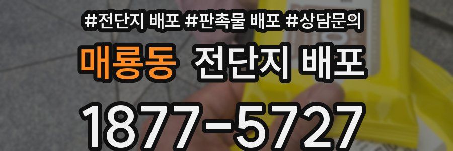 매룡동 전단지 배포