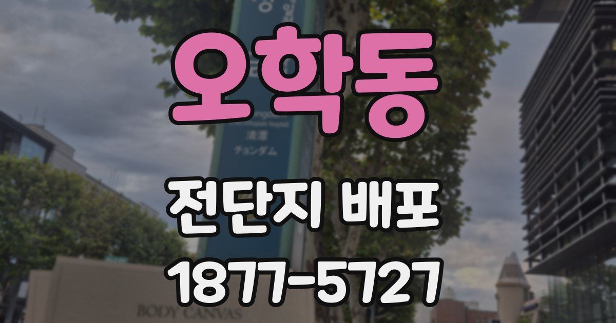 오학동 전단지 배포