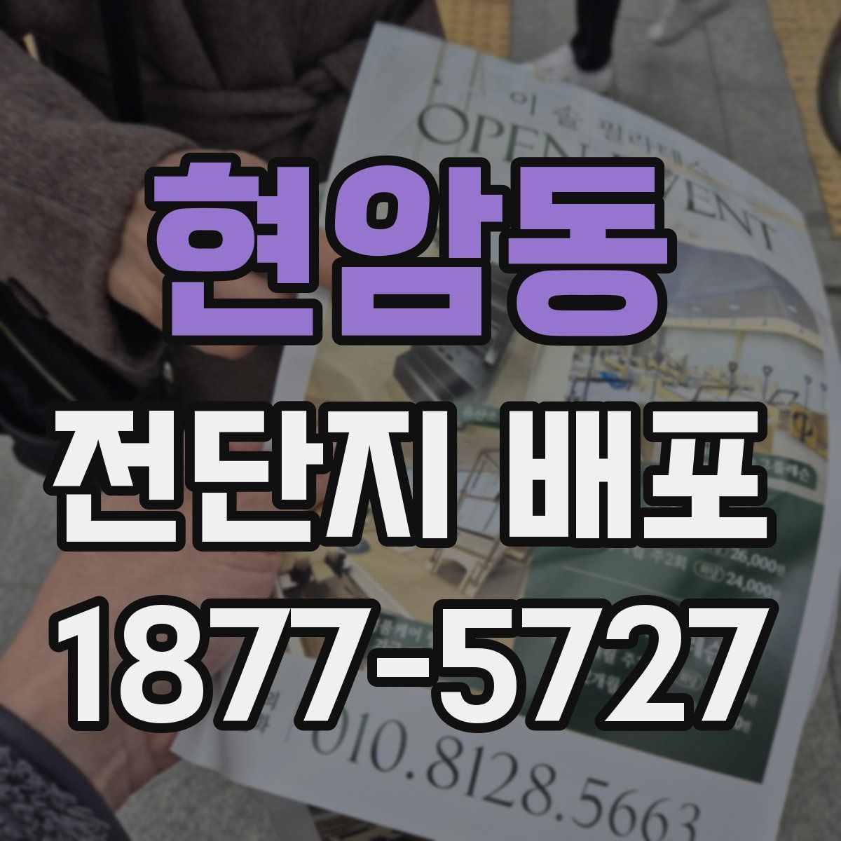현암동 전단지 배포
