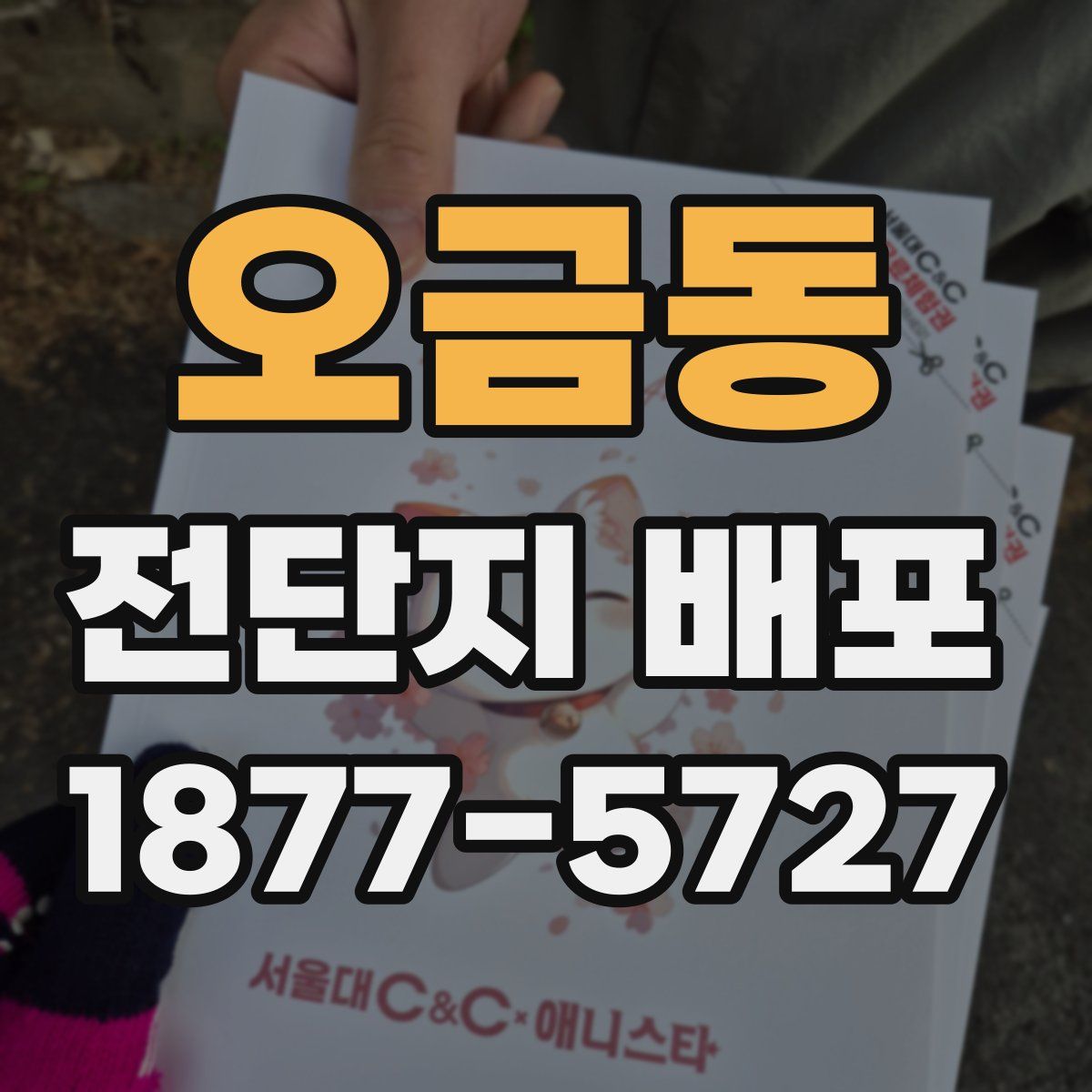 오금동 전단지 배포