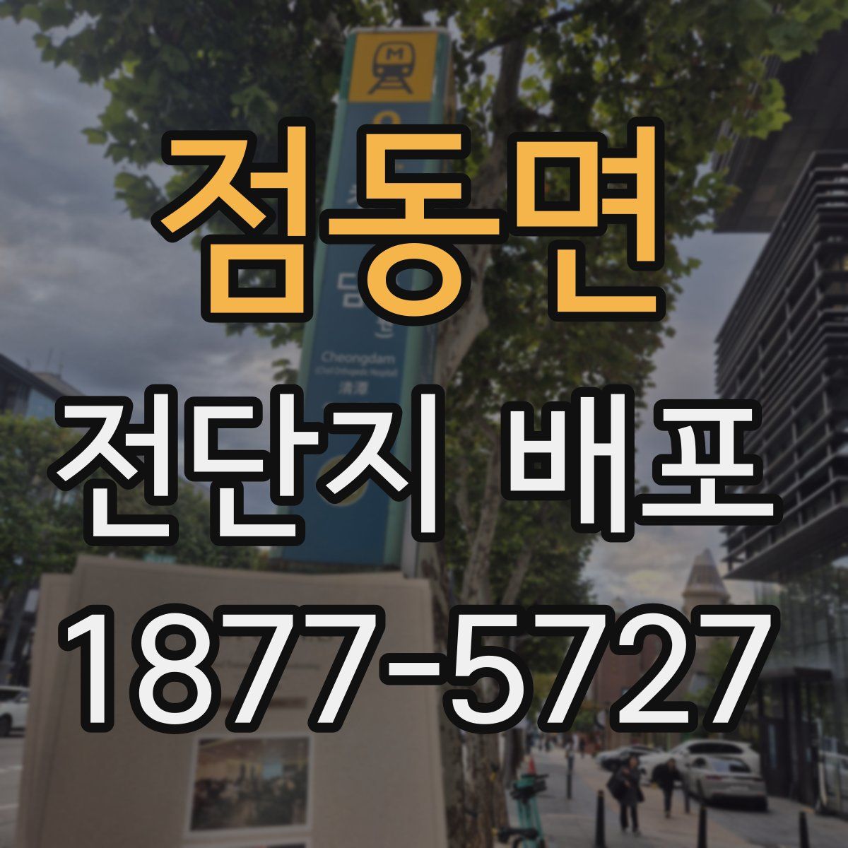 점동면 전단지 배포