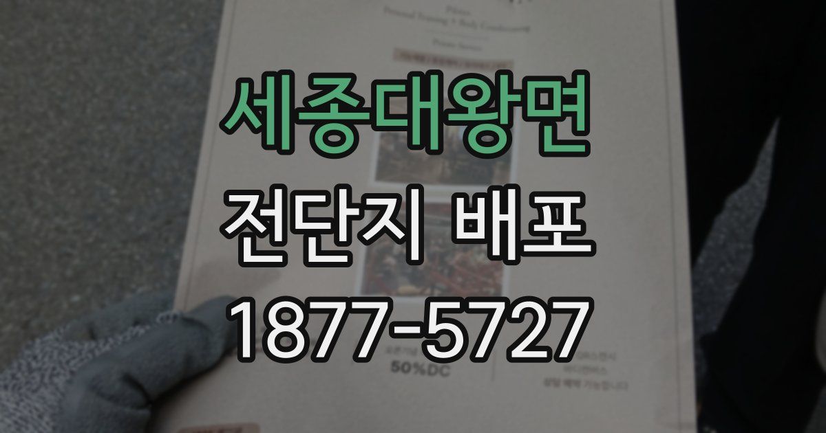 세종대왕면 전단지 배포