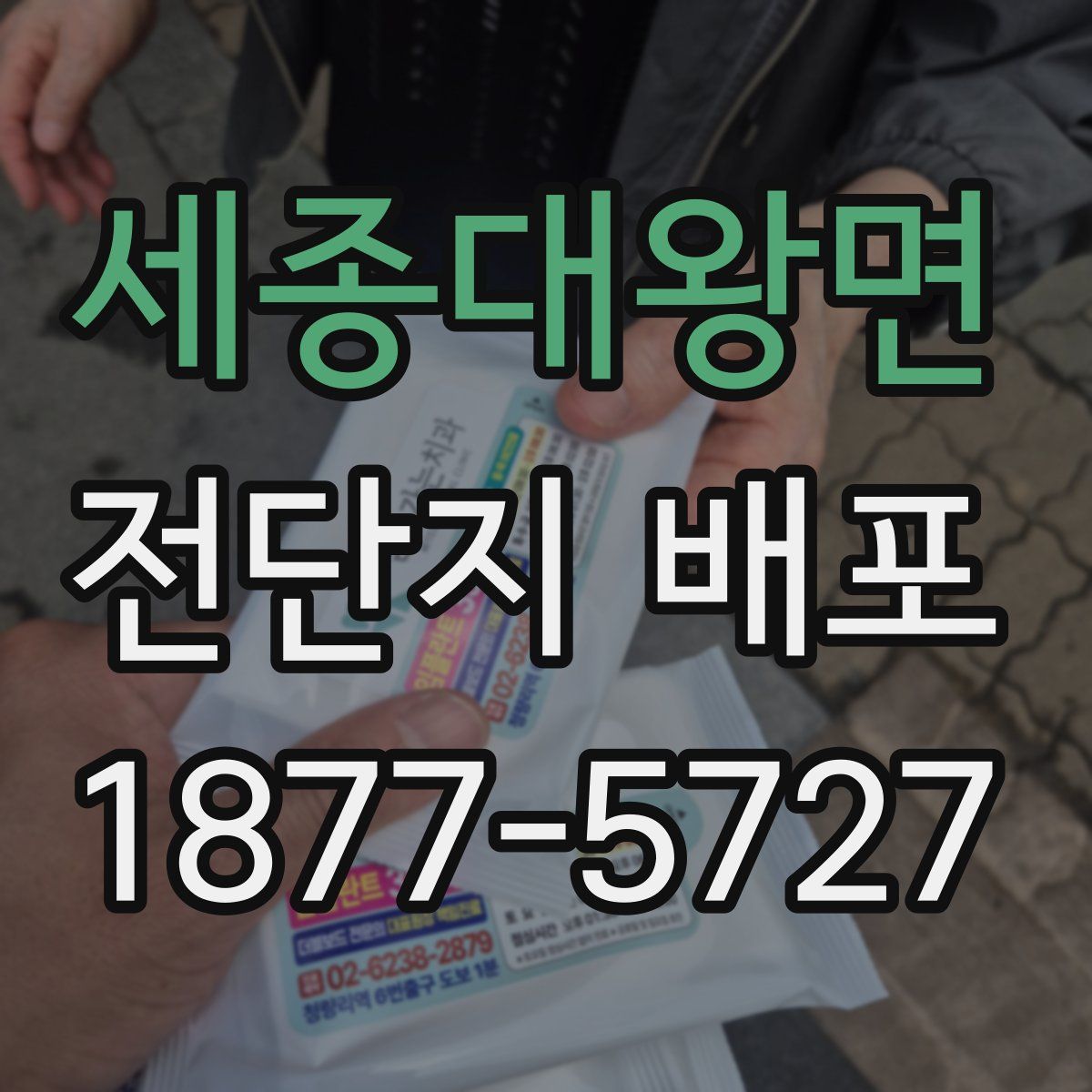 세종대왕면 전단지 배포