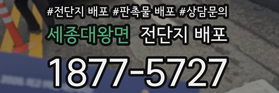 세종대왕면 전단지 배포